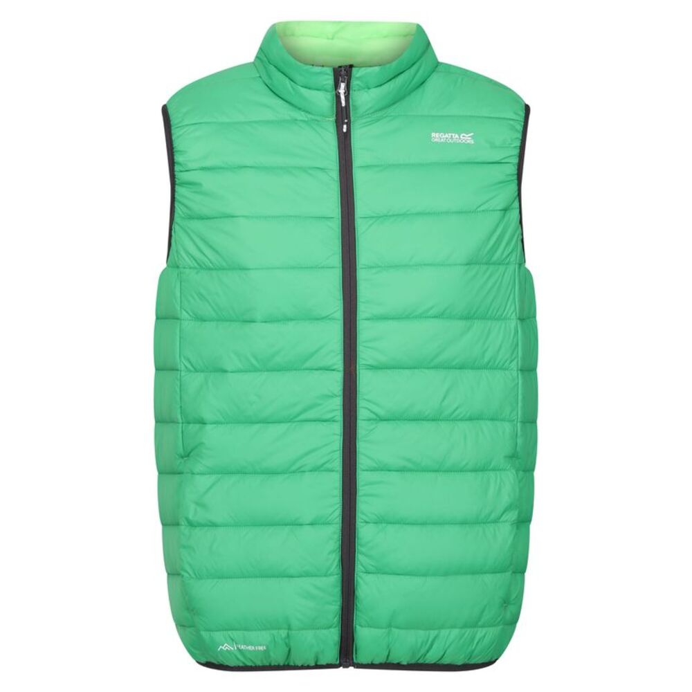 Regatta Mens Marizion Quilted Vest / Field Green/Jasmine Green
